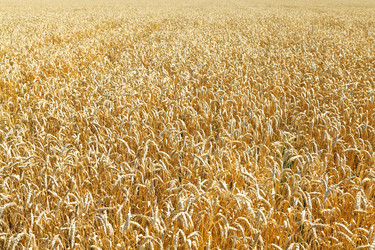 Similar image 7865481