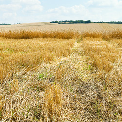 Similar image 7865484