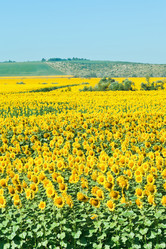 Similar image 7865490