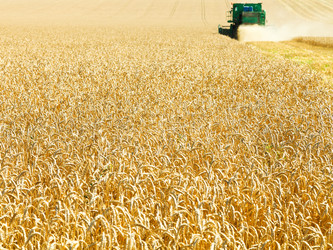 Similar image 7865494