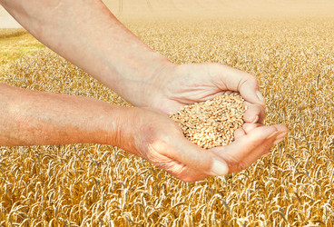 Similar image 7865495