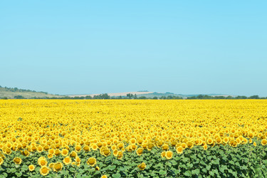 Similar image 7865501