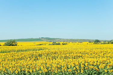 Similar image 7865502