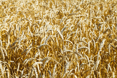 Similar image 7865521