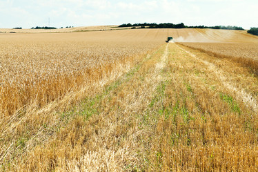 Similar image 7865525