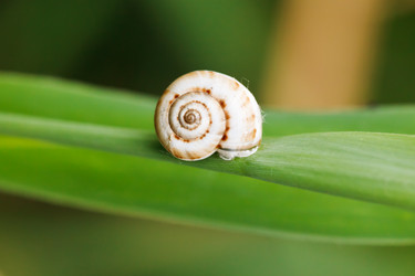 Similar image 7865562