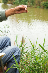 Similar image 7865565