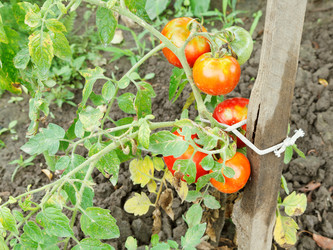 Similar image 7865578