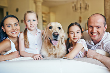 Similar image 7865590