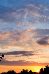 Similar image 7865604