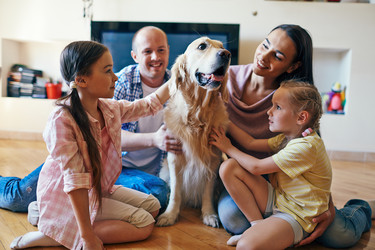 Similar image 7865613