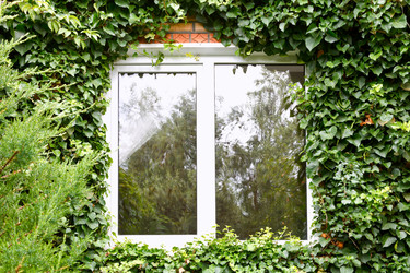 Similar image 7865651