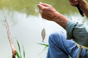 Similar image 7865656