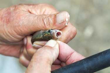 Similar image 7865658