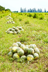 Similar image 7865662