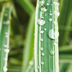 Similar image 7865664