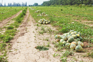 Similar image 7865668