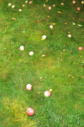 Similar image 7865669