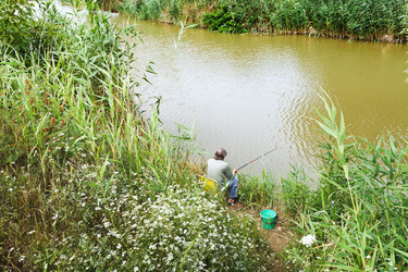 Similar image 7865673