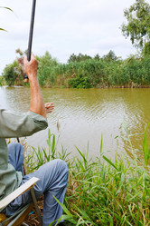 Similar image 7865674