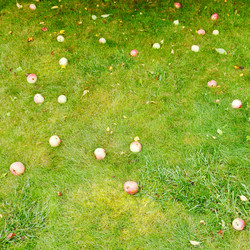 Similar image 7865679