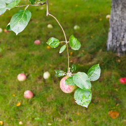 Similar image 7865681