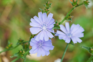 Similar image 7865688