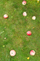 Similar image 7865699