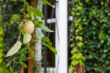 Similar image 7865704