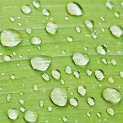 Similar image 7865708