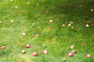 Similar image 7865718