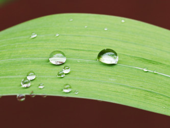 Similar image 7865722