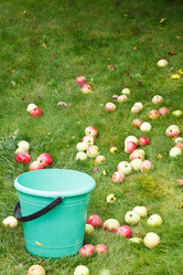 Similar image 7865726