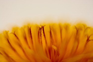 Similar image 7865758