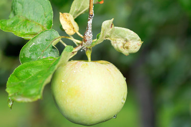 Similar image 7865793