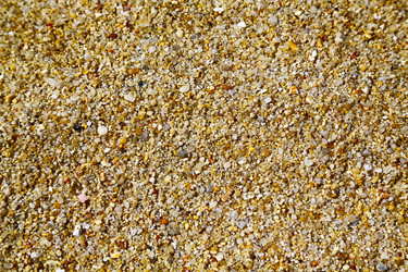 Similar image 7865804