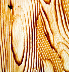 Similar image 7865840