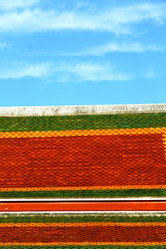 Similar image 7865841