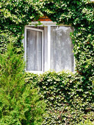 Similar image 7866010