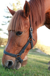 Similar image 7866049