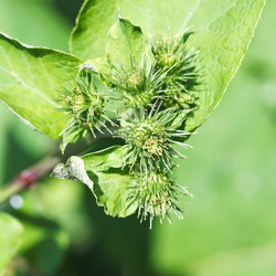 Similar image 7866103