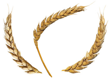 Similar image 7866118