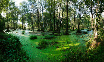 Similar image 7866142