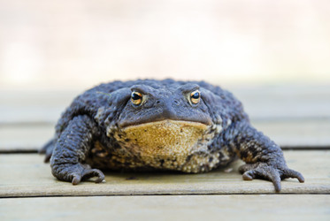 Similar image 7866279