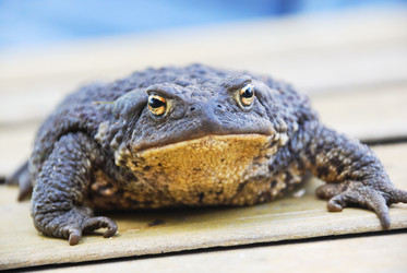 Similar image 7866283