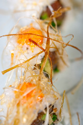 Similar image 7866329