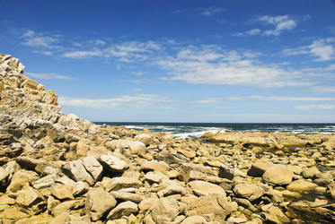 Similar image 7866524