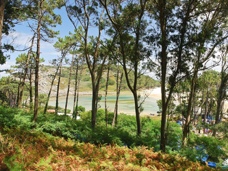 Similar image 7866529