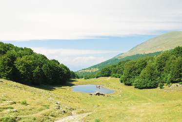 Similar image 7866551