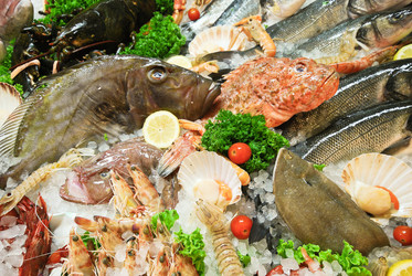 Similar image 7866562